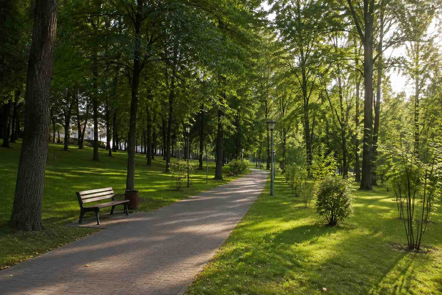 https://belgorod.blago-s.ru/storage/app/uploads/public/6a7/eef/ed2/6a7eefed2af22038960370.jpg